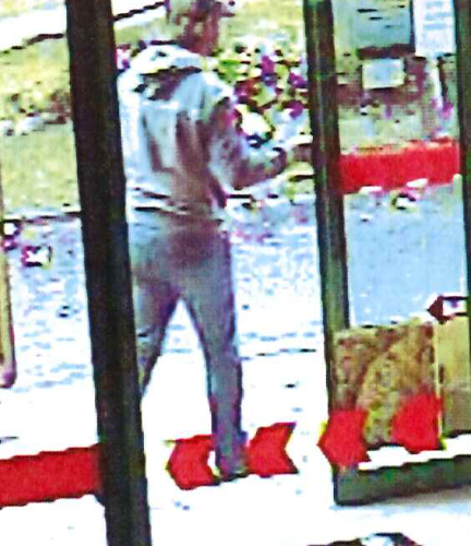 Pravděpodobný pachatel.png