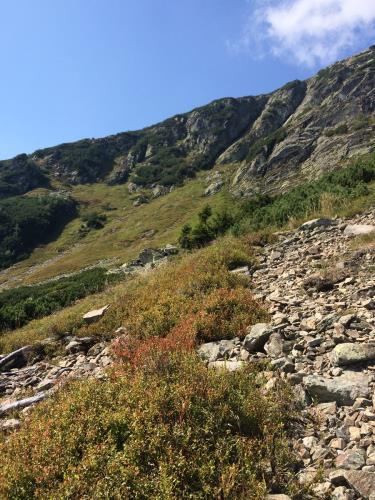 Místo pátrací akce