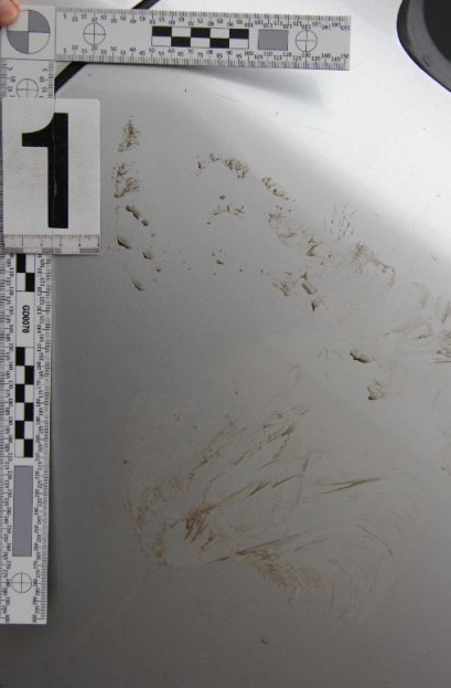 Poškozený automobil 2.png