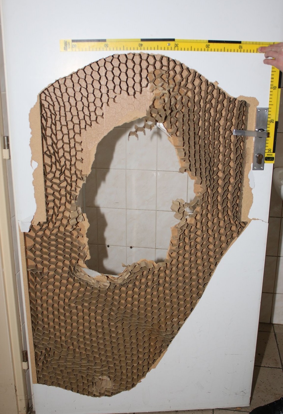 Poškozené dveře.jpg