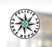 Primary Raster logo