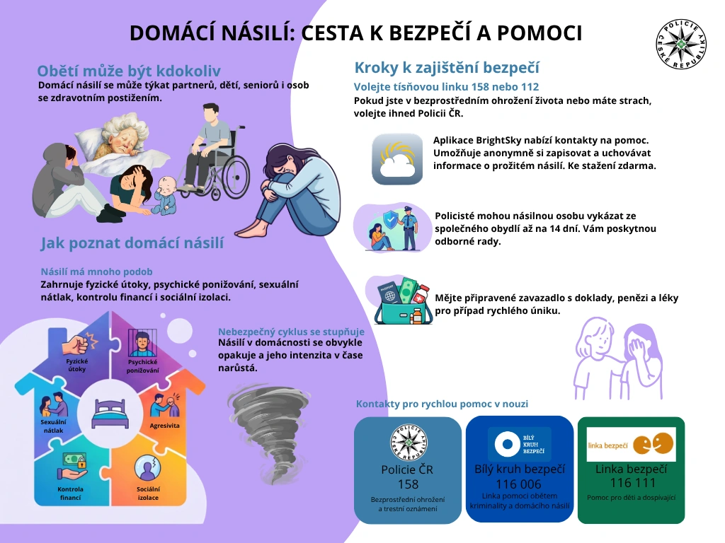 Domácí násilí
