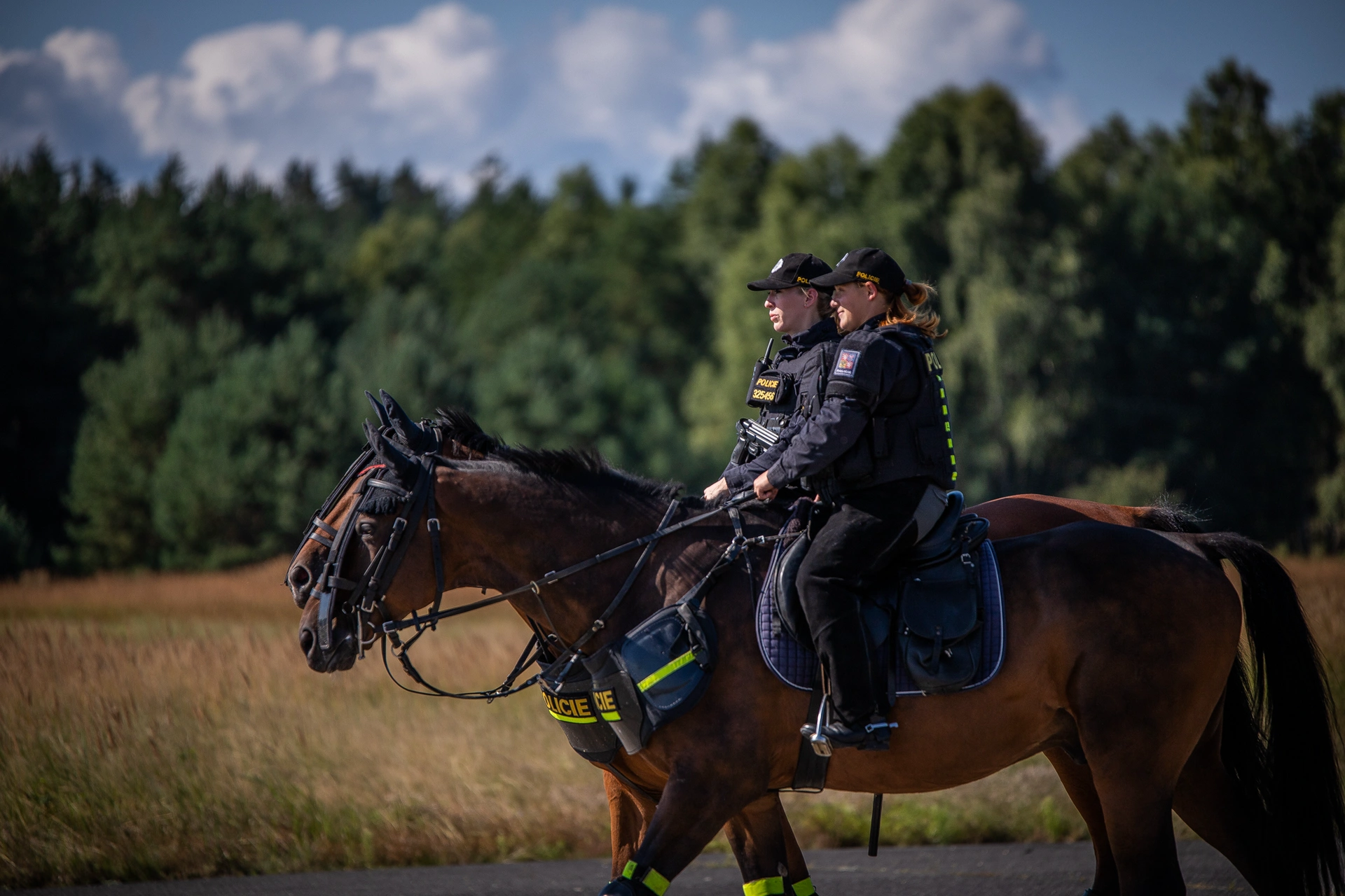 Služba v sedle policejního koně? Přidej se k nám!