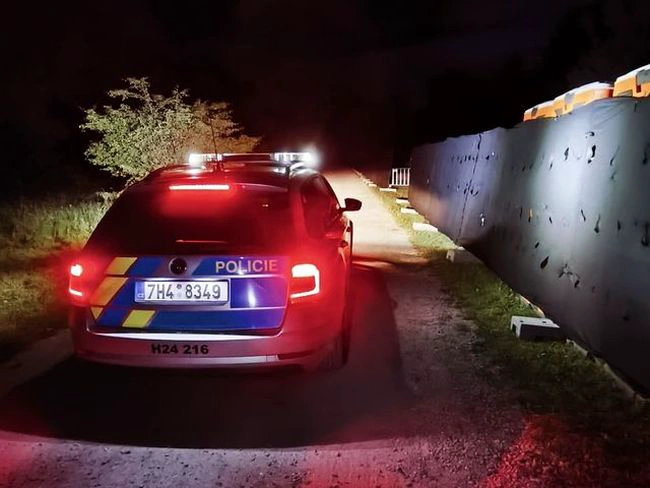 Devět odcizených vozidel TOYOTA RAV 4