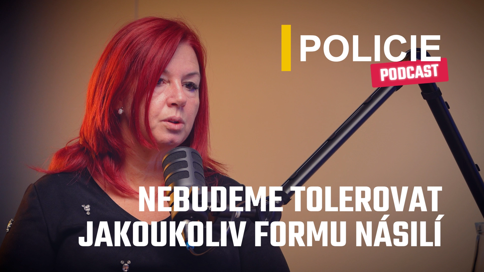Podcast: Martina Petrovičová