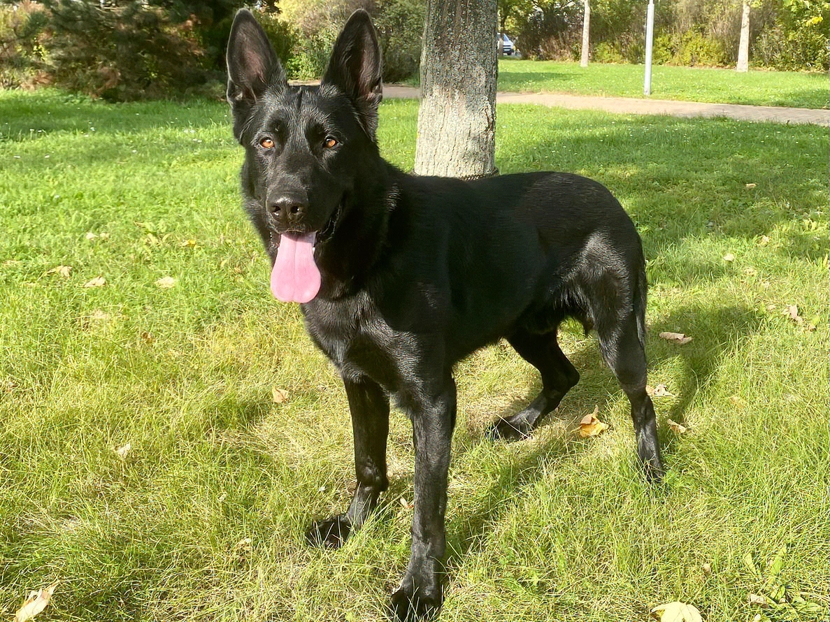 Pátrací akce se šťastným koncem