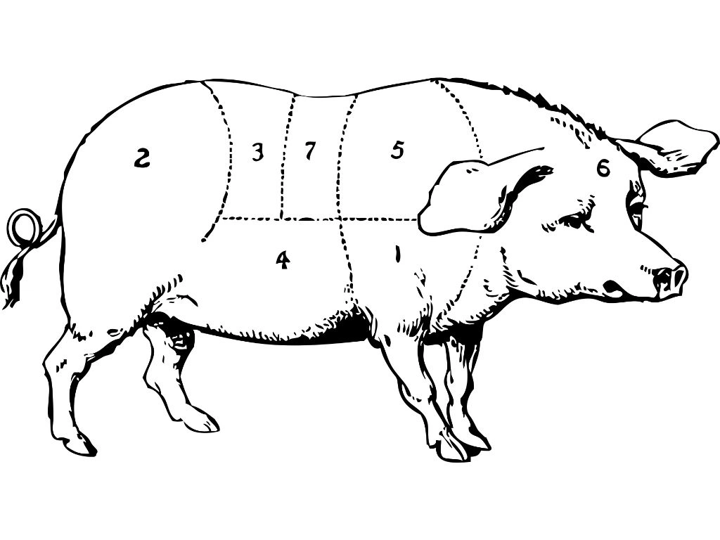 „Pig butchering“: Nejdřív důvěra, potom peníze. Znáte tento typ podvodu?